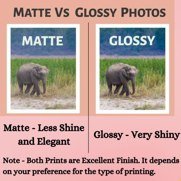 Premium Photo Printing – Matte & Gloss Finish | Multiple Sizes (4x6, 5x7, A4, 12x18, 18x24, 24x36) | Custom Photo Prints in Packs of 10, 25, 50, 75, 100